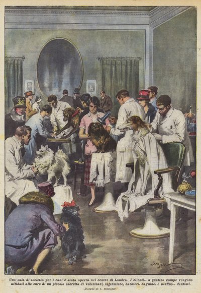 A Dog Grooming Salon Opened in Central London by Achille Beltrame